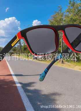 欧美户外骑行太阳镜D731 男士偏光太阳镜 复古运动墨镜男太阳眼镜