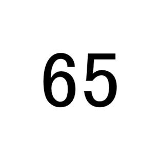 JAPATOYO东洋蓄电池6GFM7AH12V24A38A65A100AUPS应急电源机房消防