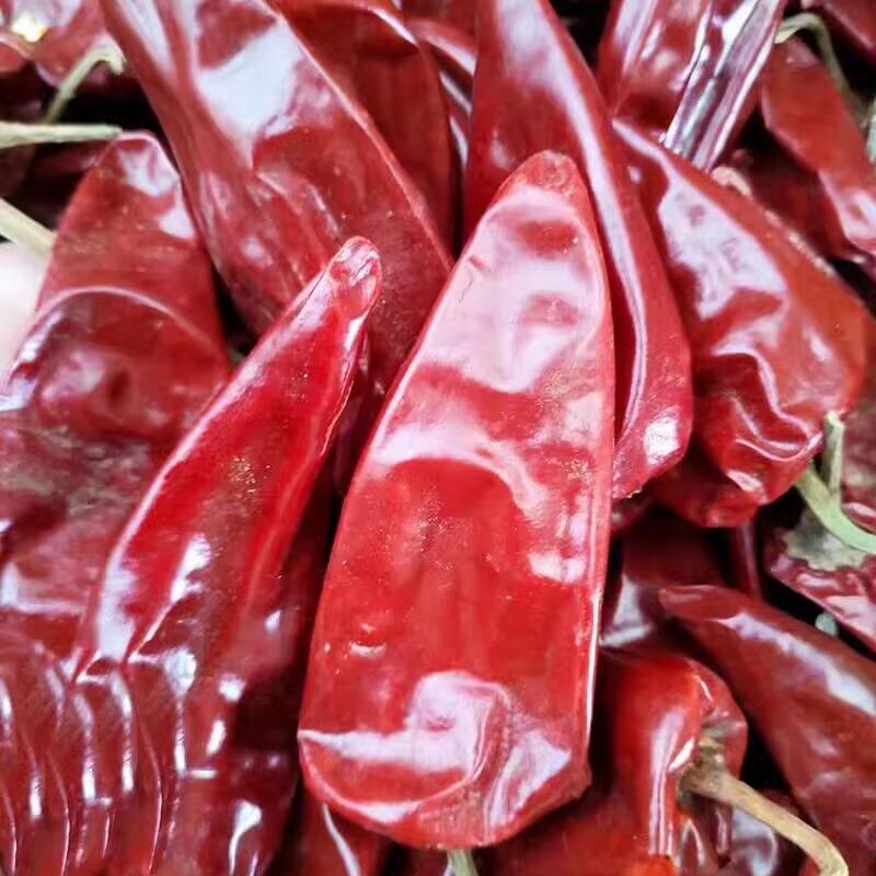 山东红干辣椒大辣椒菏泽单县干红大辣椒熬煮羊肉汤大红色干辣椒一