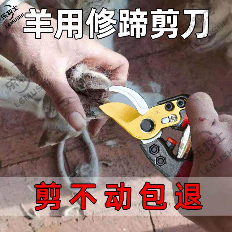 修羊蹄子剪刀羊用钳子兽用刮刀牛羊修蹄刀剪牛蹄修理专用工具