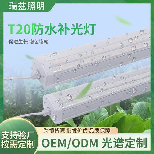 T20防水款全光谱植物生长灯太阳光多肉上色花卉补光家用植物灯