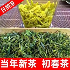 日照绿茶2024新茶特级炒青春茶散装袋装山东正宗板栗香春茶叶500g