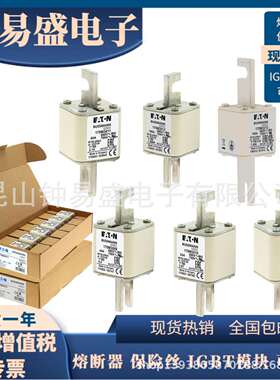 Bussmann熔断器690V 125A 170M3013 170M3063 170M3163 170M3213