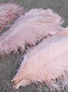10Pcs Colored Fluffy Ostrich Feathers for Natural Plumes Cra