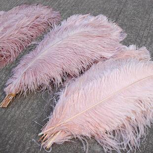 10Pcs Colored Fluffy Ostrich Feathers for Natural Plumes Cra