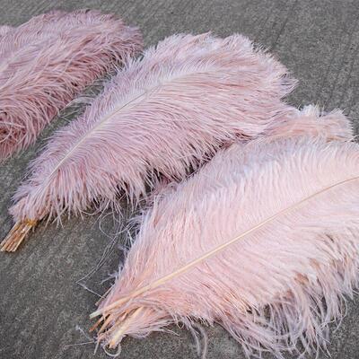 10Pcs Colored Fluffy Ostrich Feathers for Natural Plumes Cra