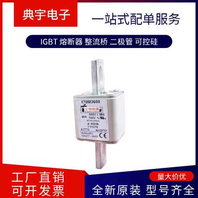 熔断器170M36593660366136623663366436653666型号齐