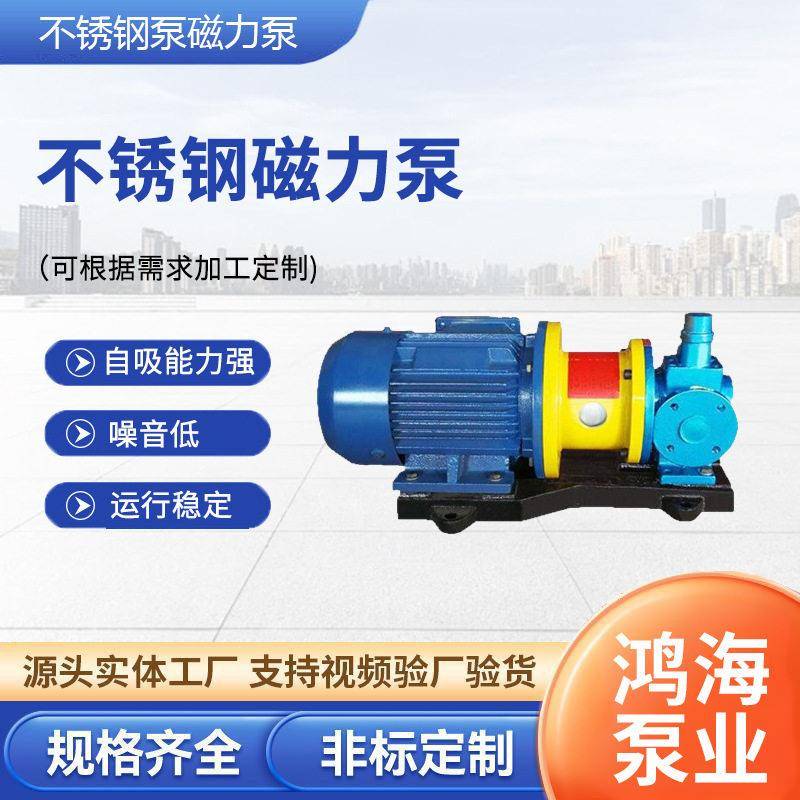不锈钢泵磁力驱动泵304/316L化工用防爆磁力泵液循环温压泵