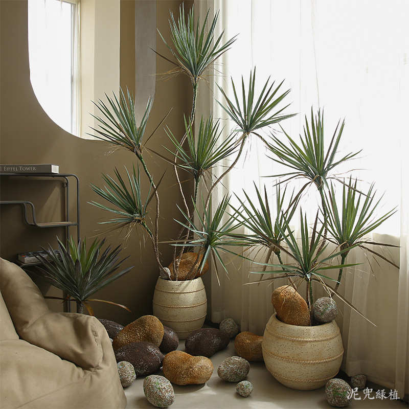 仿真绿植植物吉姆兰盆栽热带植物商场装饰摆件假树绿植造景观