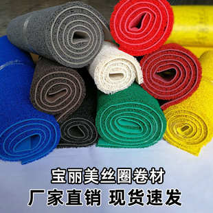 厂家批发宝丽美PVC塑料丝圈地毯地垫走廊展厅进门口铺满防滑蹭土