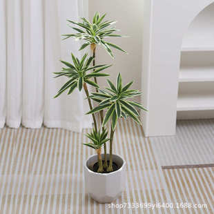 造景胶室内竹绿仿真仿生手感软客厅植物盆栽装 饰物植假植摆件百合