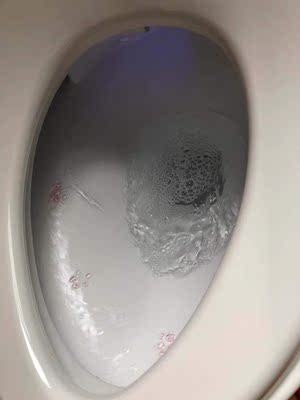 杉本日本智能一体式全自动坐便器怎么样？被忽然给好评后，发现后悔了？