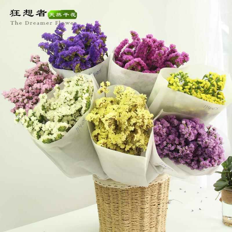 A级勿忘我干花8色狂想者森系自然干花真花家居装饰勿忘我
