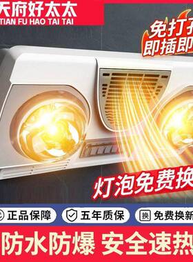 壁挂式浴霸灯暖生间取暖器免打孔墙水防爆灯泡防挂壁式浴天府好太