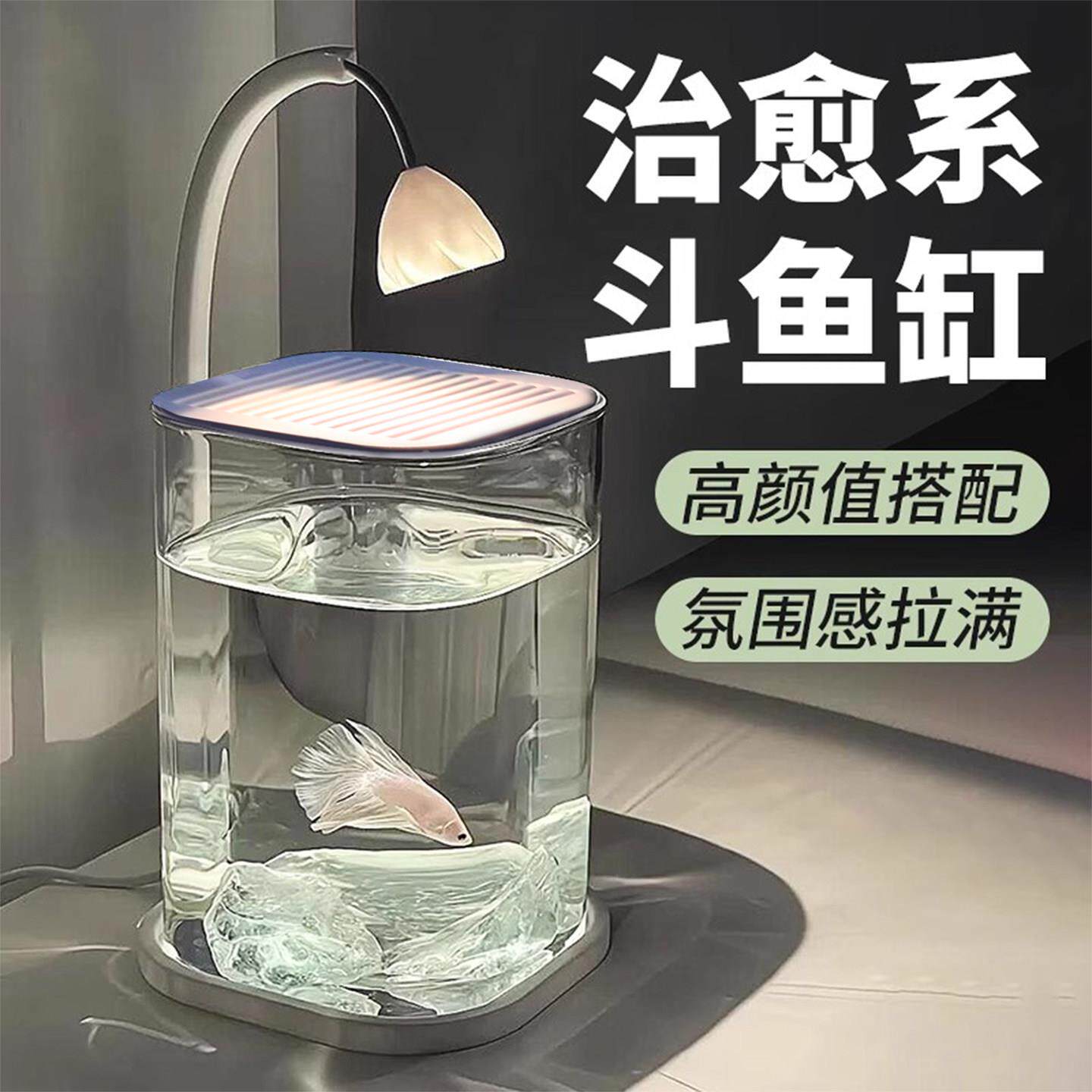 2025新款斗鱼缸小型网红玻璃缸客厅桌面观赏鱼造景办公室工位鱼缸