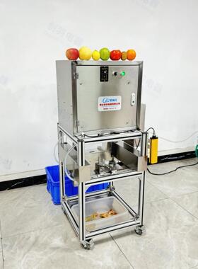 广东大型水果削皮机工厂柿子毛桃柠檬削皮去核机雪梨苹果切片机