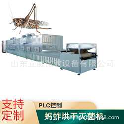 茶叶杀青机 流水线式连翘微波杀青设备 隧道式桑叶烘干机