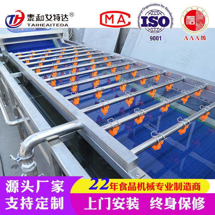 定制水果清洗机 葡萄干自动清洗风干设备 黑枸杞清洗加工生产线