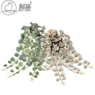 饰丝网花 树猫仿真壁挂126叶金钱叶尤加利吊顶藤蔓绿植高品景观装