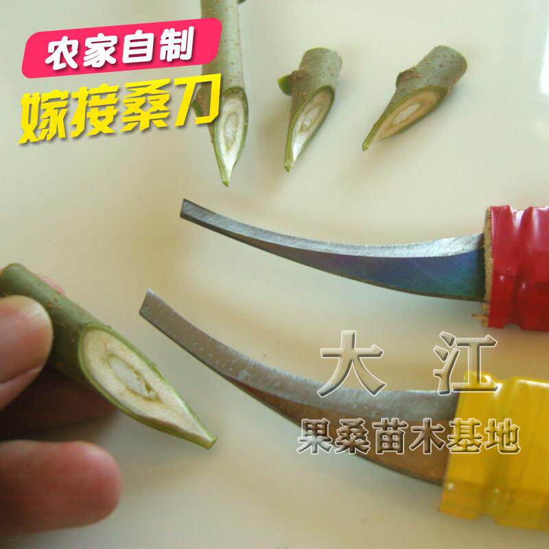 农家自制锋钢嫁接桑树刀芽接刀可用于园艺各类果树嫁接刀经久耐用