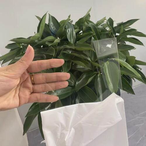 厂家供应高透明PETG板petg板材吸塑PETG片材pet胶片透明PET板