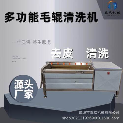 商用毛辊清洗去皮机芥菜板栗毛刷清洗机器竹笋甘薯脱皮清洗设备