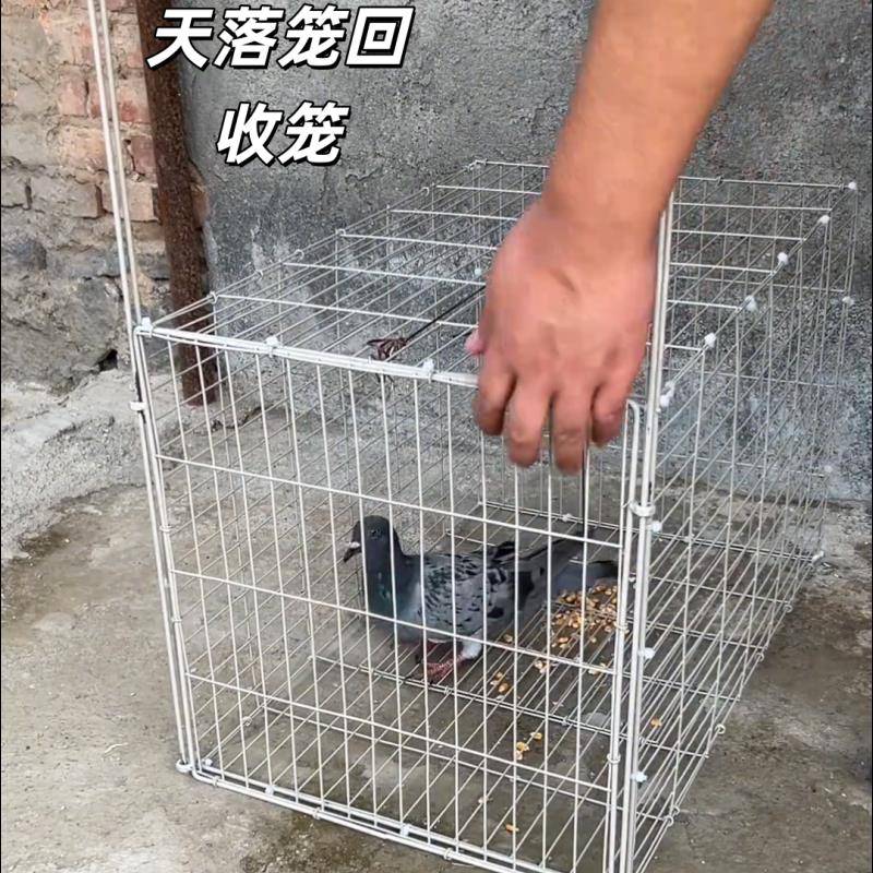 鸽子笼天落笼自动笼户外防锈养殖收鸽笼只进不出阳台鸽笼鸟笼翻板