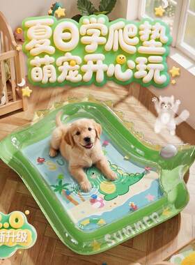 夏季冰垫宠物冰垫注水防摔大号爬爬水垫夏季猫狗床凉席小型犬夏天