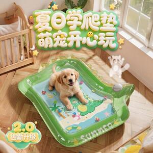 宠物冰垫注水防摔大号爬爬水垫夏季猫狗床凉席小型犬夏天
