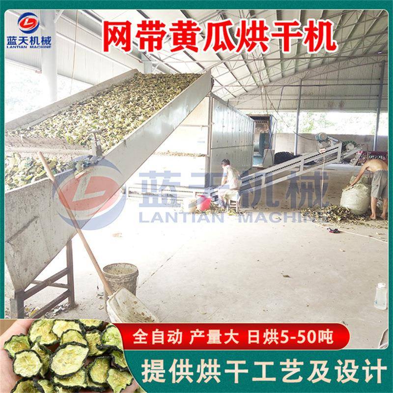 网带黄瓜烘干机连续式黄瓜切片烘干生产线吊瓜蔬菜脱水烘干设备