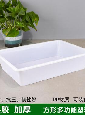 新款直销塑料长方形白色无盖冰盒收纳冰盘周转盒工具零件盆小盒子