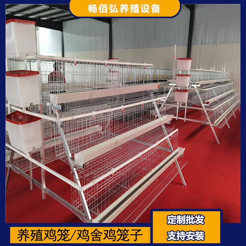 A型蛋鸡笼阶梯型三层四门蛋鸡笼养殖工厂大鸡笼热镀锌可供外贸