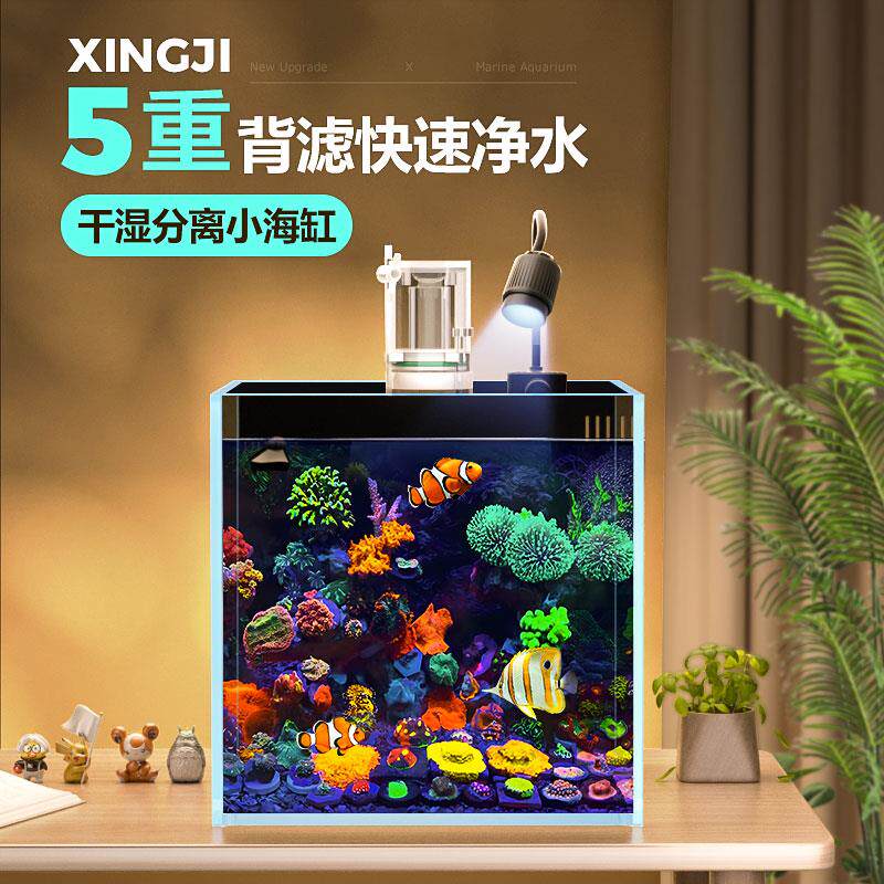 背滤海水缸超白玻璃鱼缸客厅小型桌面全套珊瑚造景方缸懒人免换水
