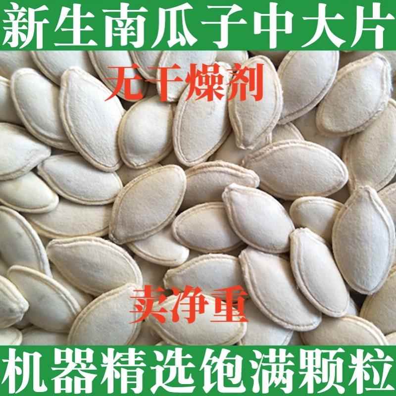 1-5斤价新货生熟南瓜子葵花籽瓜子仁零食椒盐原味熟白南瓜子