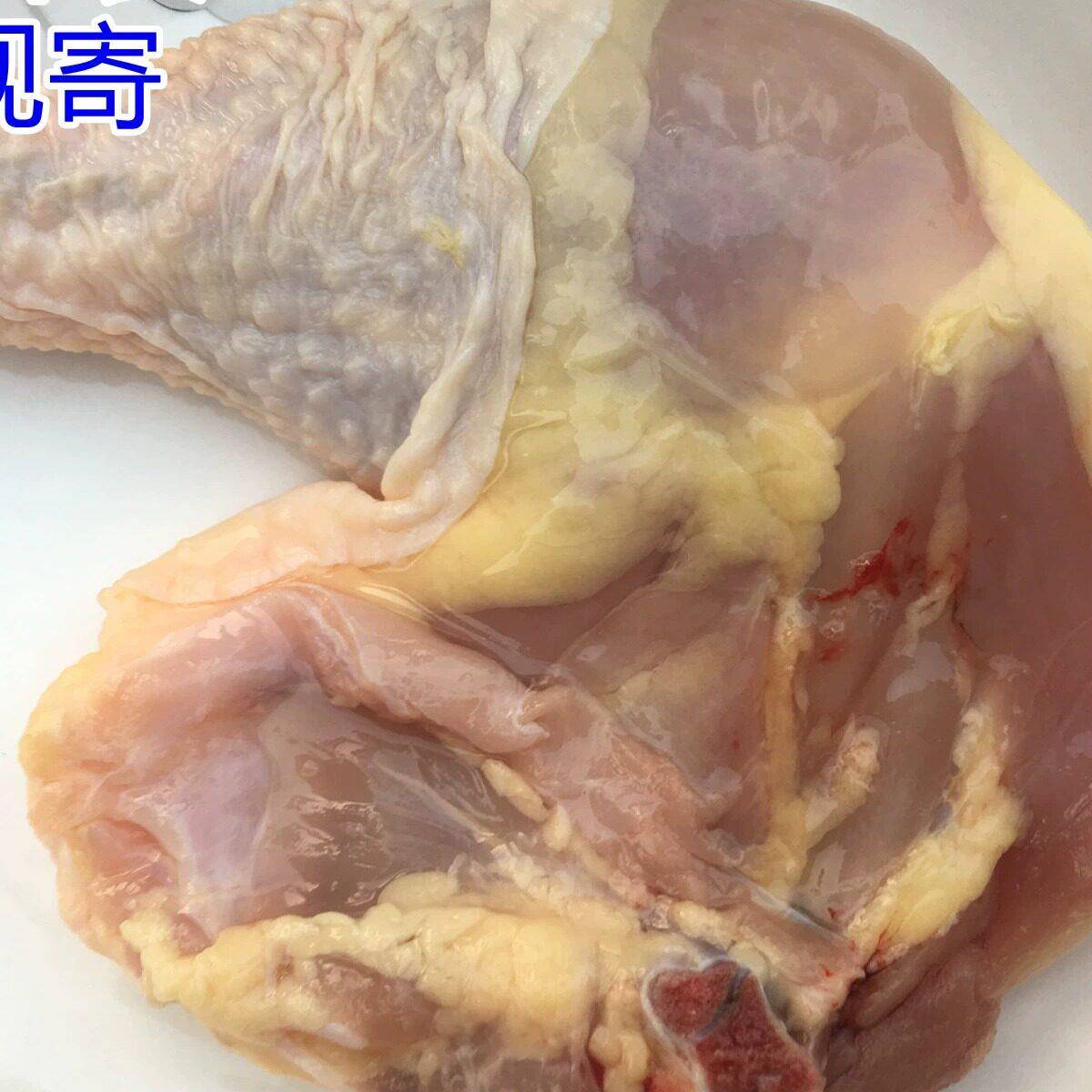 粤菜生鲜广东原产地土鸡腿特色肉类农家散养走地鸡2斤约5祇鲜鸡腿