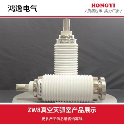 鸿逸高压真空灭弧室ZW8 TD-12/620-25型真空断路器用真空管10kv外