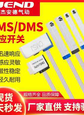 磁性开 关DMSG/CMSG/DMSE/CMSE/CMSJ/CMSH/DMSH-N-P-020位置感测