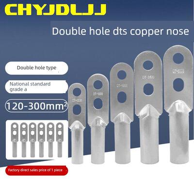 双孔铜鼻子DTS-120/150/185/240/300平方国标A级镀锡紫铜接线端子