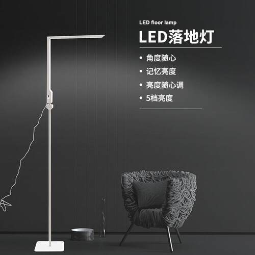道远亮眼睛LED落地灯客厅卧室床头台灯站立式色温亮度记忆可调节
