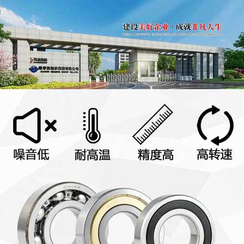 RYS 哈轴传动 6226 6228 6230 ZZ
