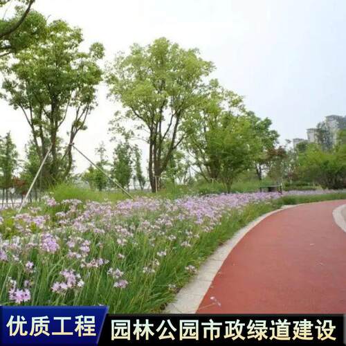 户外园林绿化市政绿化园林公园广场景观建设总承包优质工艺