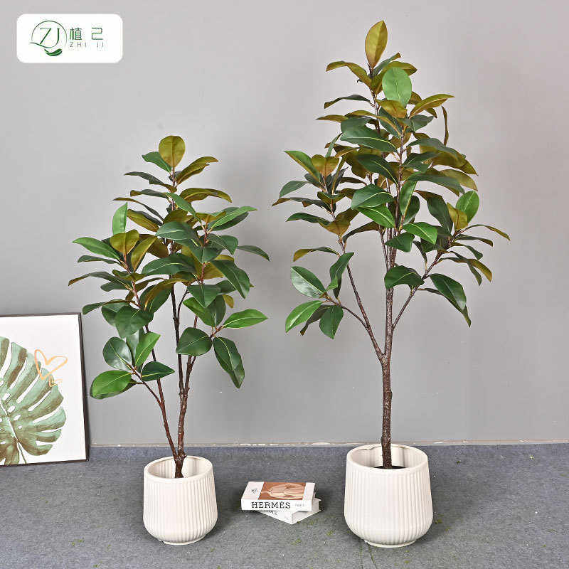 仿真玉兰树北欧ins风大型落地植物盆栽室内装饰客厅摆件假橡皮树,鲜花速递/花卉仿真/绿植园艺,仿真绿植,淘宝优惠券,粉丝福利购,淘宝优惠卷