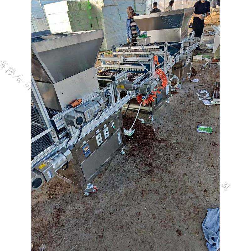 穴盘播种机针吸式全自动蔬菜辣椒种植机小型流水线穴盘育苗播种机