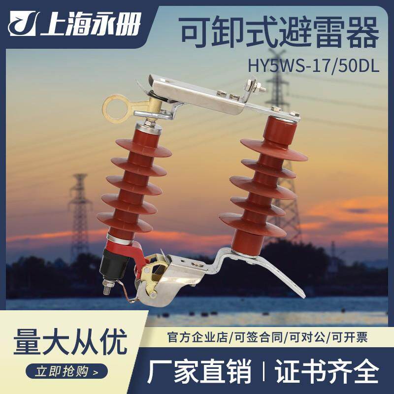 跌落式氧化锌避雷器户外高压10KV可卸式避雷器HY5WS-17/50DL-TB