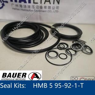 舱盖液压马达 hatch cover motor HMB 5 95-92-1-T