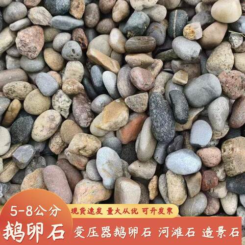 5-8厘米水处理鹅卵石河滩石园林驳岸石河底点景石 变电站鹅卵石