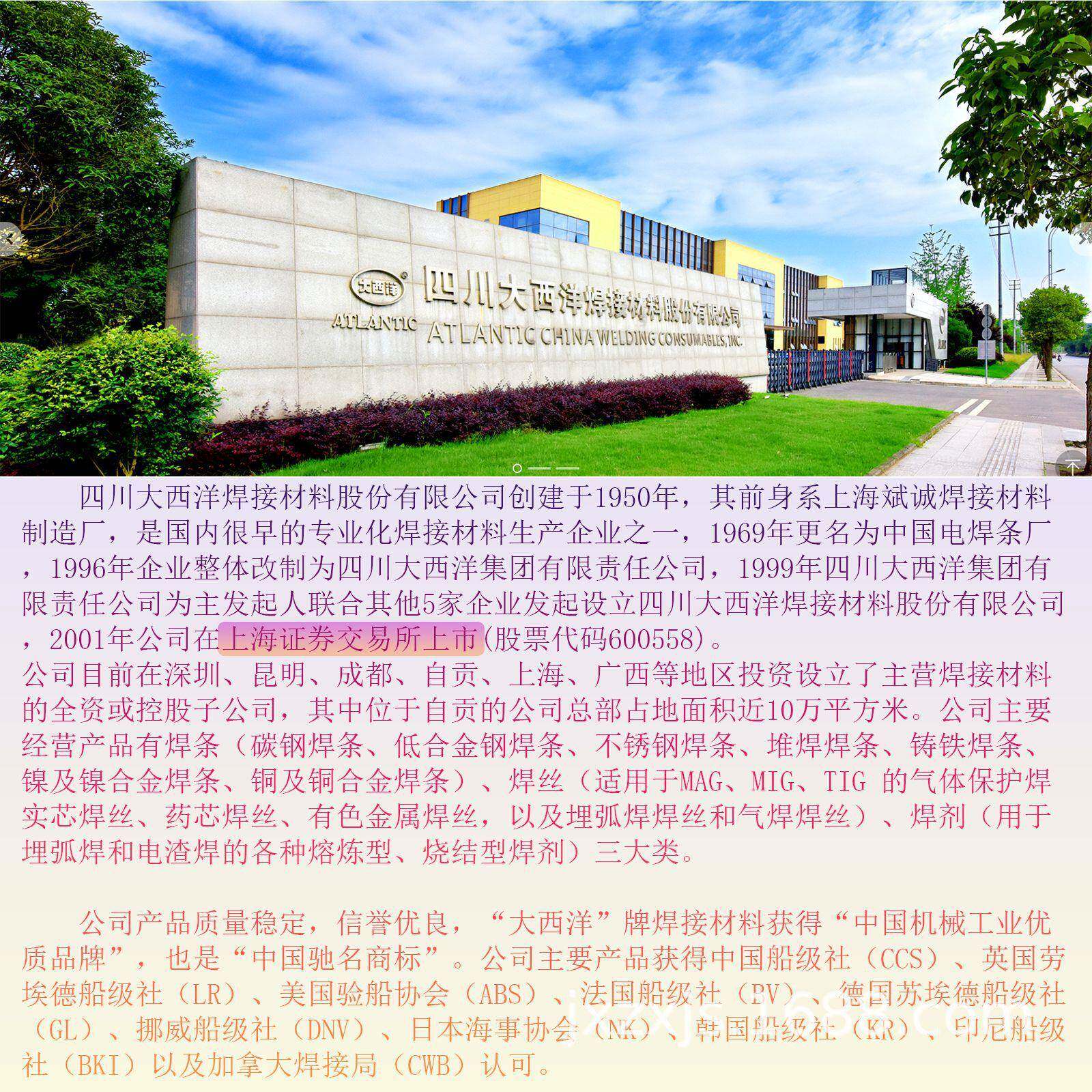 大西成洋CHS302R不锈钢YNS焊条A30E2国标309-16异种钢全位焊接型