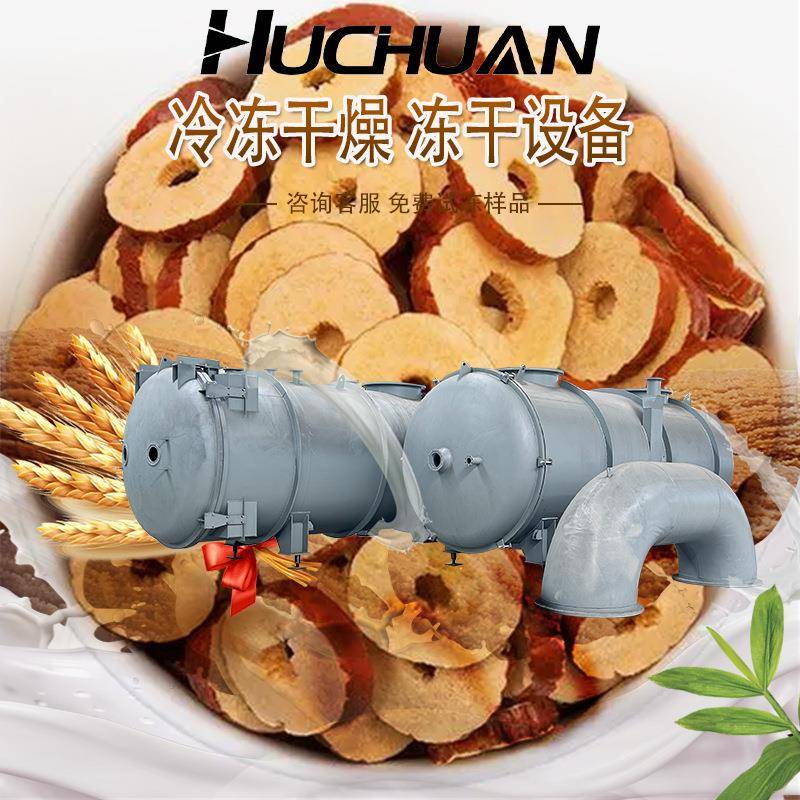 商用冻干机果蔬真空冻干机水果冻干机设备草莓真空冷冻干燥机