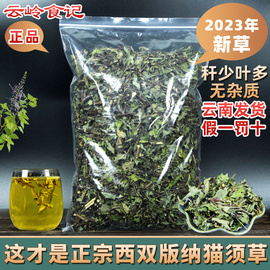 云南西双版纳猫须草500克别名，猫须公降酸草肾茶化石草中药材正宗