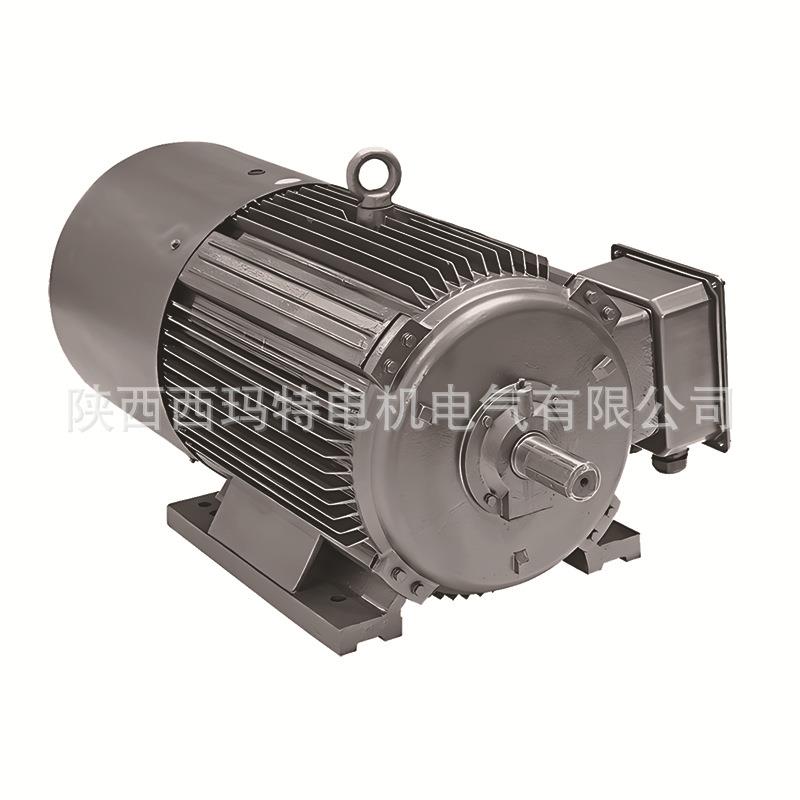 西安西玛频电机YVF电E4-4504-6三极800KW 660141V大外圆变相异步